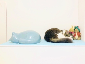 Resting Cat, light blue