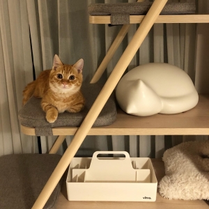 Resting Cat, small, white