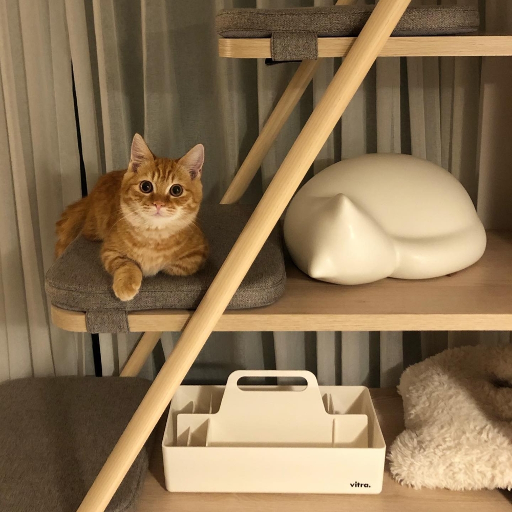 Resting Cat, small, beige