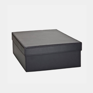 STORAGE BOX W/LID MED BLACK/BL