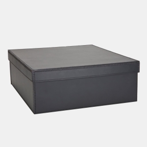 STORAGE BOX W/LID LRG BLACK/BL